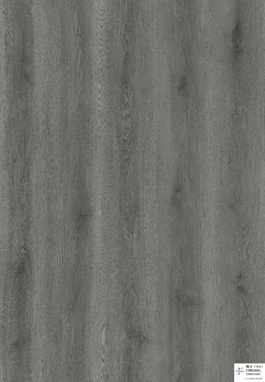Fiji Plank DB Lapita